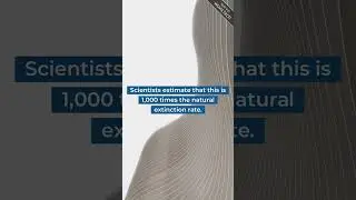 Every day, 200 species of plants, animals go extinct #shorts #shortsclip #shortscraft #youtube
