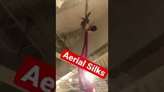 She Climbs Aerial Silks and Straddle to Splits 😵 #shorts