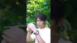 So Smart! My Genius Son Can Actually Catch Fish This Way