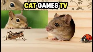 CAT GAMES | Tiny Mouse Movements on Wooden Table 🐭 | Ultra Realistic Cat TV (4K HDR)