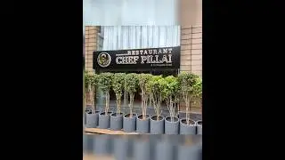 Restaurant Chef Pillai - Brigade Road, Bangalore #shorts #shortsvideo #viral #chefpillai