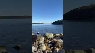 iPhone Cinematic Mode