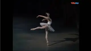 swan lake act 2 (mariinsky ballet)