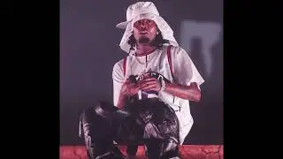 [FREE] PLAYBOI CARTI WHOLE LOTTA RED + EMOTIONAL TYPE BEAT