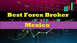 the best forex brokers in Mexico| Forex Broker 2022 - 2023