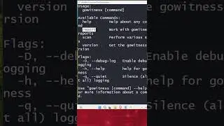 Instalaci&oacute;n y utilizaci&oacute;n de Gowitness