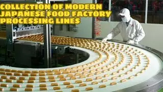 Japanese Mass Production - Collection of Modern Japanese Food Factory Processing Lines 2023 park 2