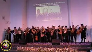 Tuna de la Facultad de Medicina U.N.T. - El Cascabel - IV CETUMED 2019