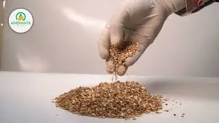 Orange Peel TBC | Natural Herbal Ingredient for Tea & Blends | Anekanta Organic