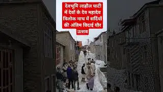 #kullureports #news #himachalwheather #trendingvideo #latestnews #viralvideo  #subscribe