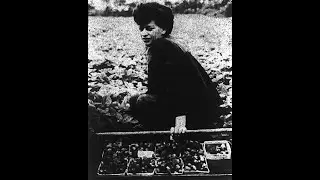 Cape Cod Festival of Strawberries: Tourism and Romanticized immigrant labor