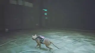 STRAY  ---- O  ESGOTO