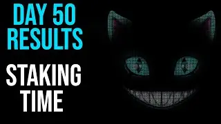 Wonderland Time Results Day 50 (Insane APY Increase + How Much I Made)