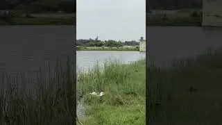 Beautiful view of Saudwadi #diu #saudwadi #pond #dilipbamaniya #beautiful #beautifulnatureview