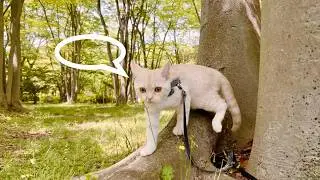 [Long Video] First Walk in a Huge Park ① Too Scared to Come Out of the Cage, but...