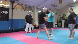 seminar Sofia 25