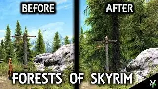 FORESTS OF SKYRIM: Forest/Environmental Mod!!- Xbox Modded Skyrim Mod Showcase