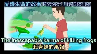 The inescapable karma of killing frogs 🐸 殺青蛙的果報