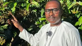 Omukaabira gukozese bakukabire nokuganja