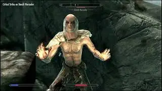 Skyrims immersive encounters..