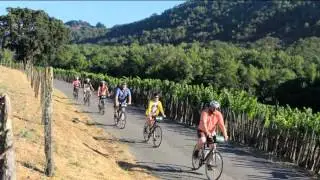 Classic Napa Valley Bike Tour