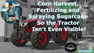 FS 23 - 229. Corn Harvest, Fertilizing and Spraying Sugarcane So the Tractor Isn&rsquo;t Even Visible!