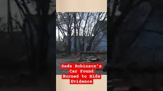 The Disturbing Case of Sade Robinson | Suspect Burned and Hid Her Car