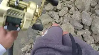 Big Musky Destroys Swimbait At Feet!! Cast2Catch DRT KLASH 9