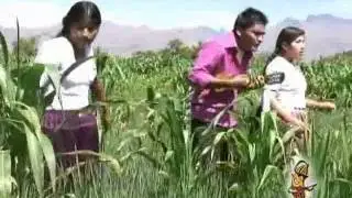 FLORENCIO FLORES DE MI PUEBLO E SALIDO