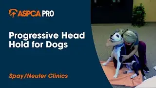 Spay/Neuter Gentle Animal Handling: Progressive Head Hold for Dogs
