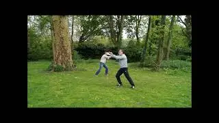 Wudang / Practical Tai Chi Chuan: Kurze Handform, rechts und links