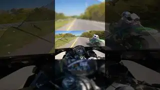 2024 Kawasaki Zx14r VS 2021 Kawasaki Zx10r #kawasaki #zx10r #zx14r