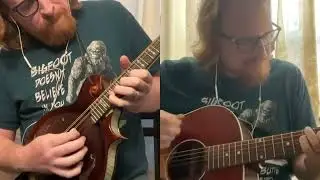 There There - Radiohead on McDannald Mandolin. #mandolin #customguitars #mandolinplayer #folk 
