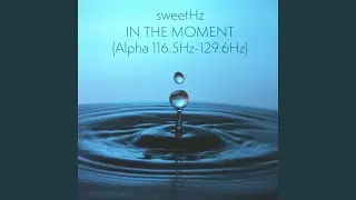 In the Moment (Alpha 116.5Hz - 129.6Hz)