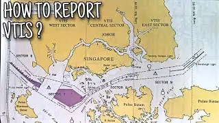 HOW TO REPORT VTIS | CARA PELAPORAN KE VTIS