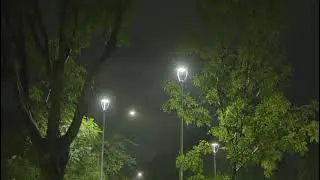 4k streetlight illuminate a serene night scene with luah green trees casting