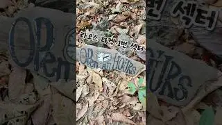 라오스 타켁 1번 섹터. Open all Hours.