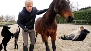 TRAINING ALL MY HORSES IN ONE DAY  -Jesse Drent