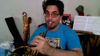 French Horn Page 10 Horn Angle
