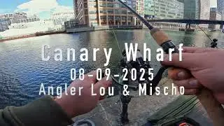 Urban Fishing at Canary Wharf | Bream & Perch on Krill Mix | 8th Sept 2025 with Mischo