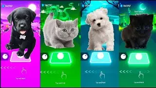 🐶 CUTE DOGS VS CUTE CATS 😻 | TILES HOP EDM RUSH