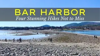 Bar Harbor Maine | Four Hikes Not to Miss Near Downtown