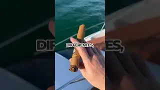 Message dans une bouteille : Une connexion &agrave; travers le temps!