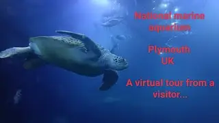 National marine aquarium, Plymouth, UK - a virtual tour from a visitor.