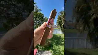 AKSUM By Foundation Cigar #cigarlife #cigarlover #cigartime #cigarshow #cigarsociety #stdupont