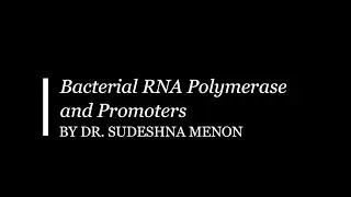 Bacterial RNA Polymerase and Promoters