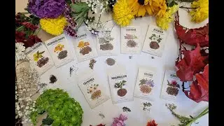 Medicinal Garden Kit Review - Watch before Buy! Medicinal Plants
