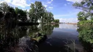 Le chant de printemps du merle