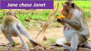 No no go away | mom Jane much angry Janet threaten to go a way when ask milk during her eat food