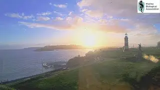 SurveillanceMap LIVE &middot; Smeaton's Tower &middot; Plymouth, England
